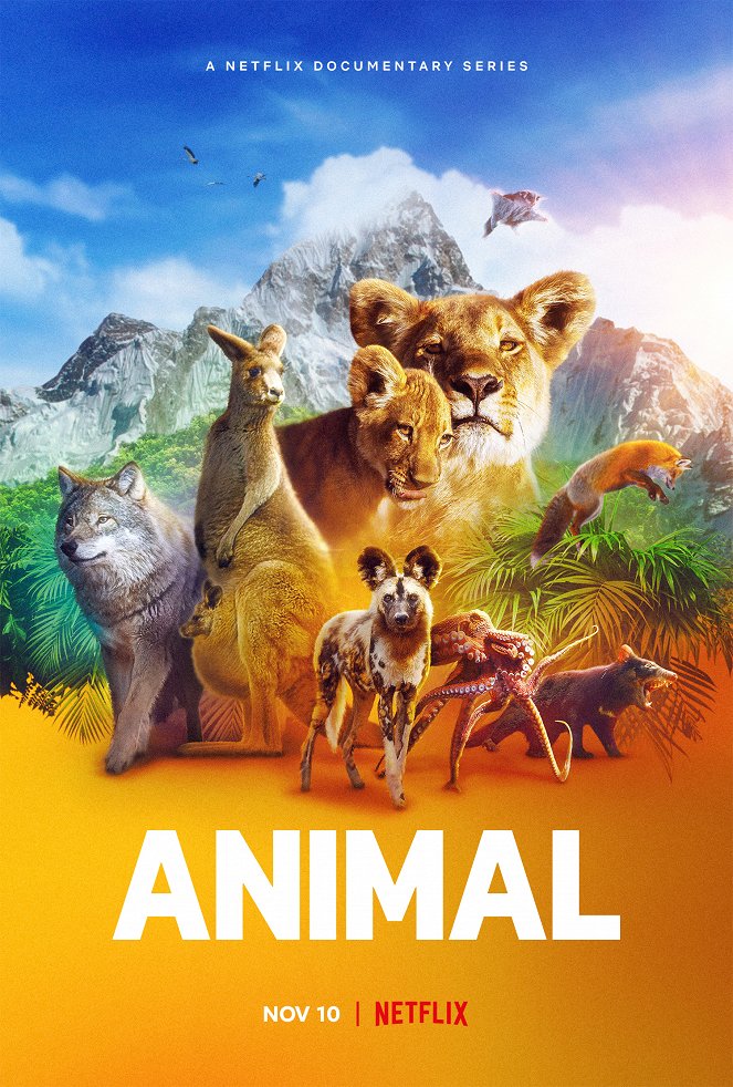 Divoká zvířata - Divoká zvířata - Série 1 - Plakáty