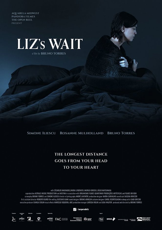 A Espera de Liz - Plakáty