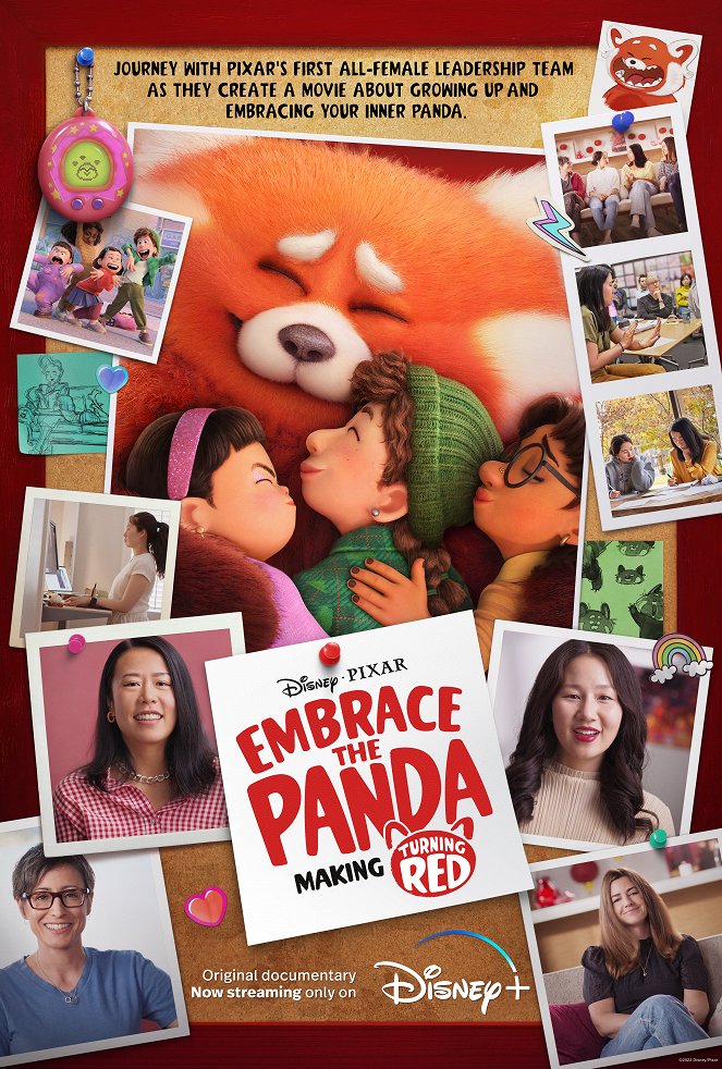 Přijmi pandu: Jak se natáčel film Proměna - Plagáty