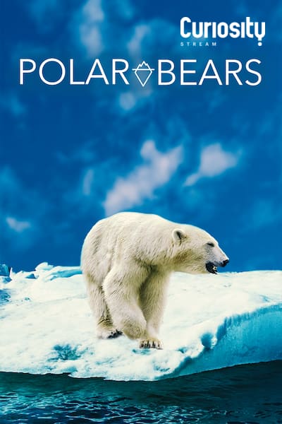 Polar Bears - Plakáty