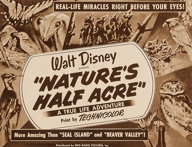 Nature's Half Acre - Plakáty