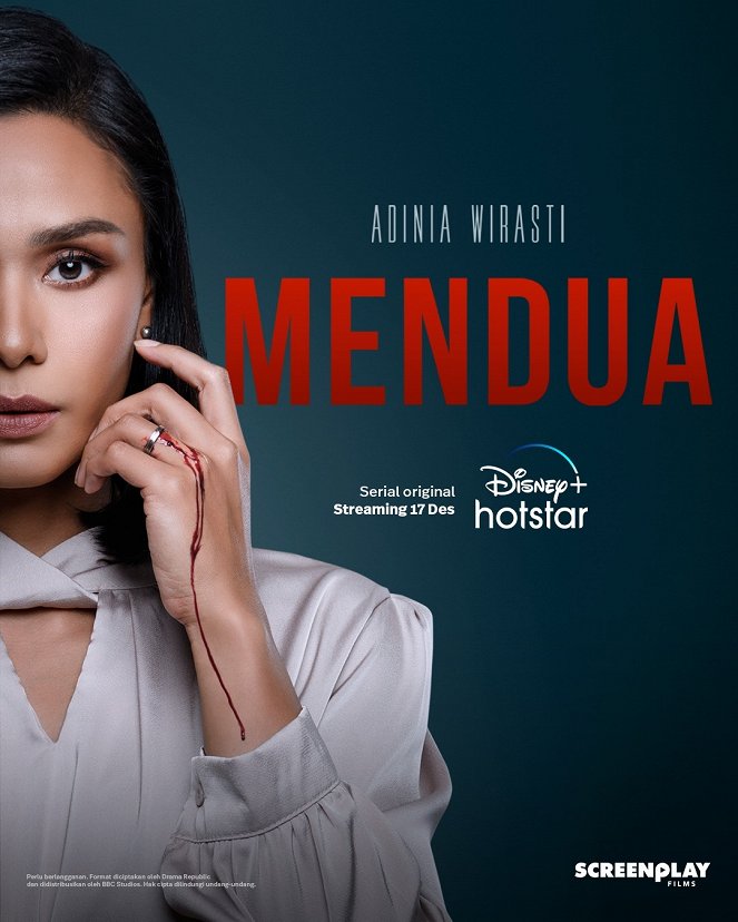 Mendua - Plagáty