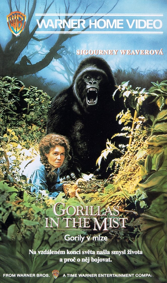 Gorily v mlze - Plakáty