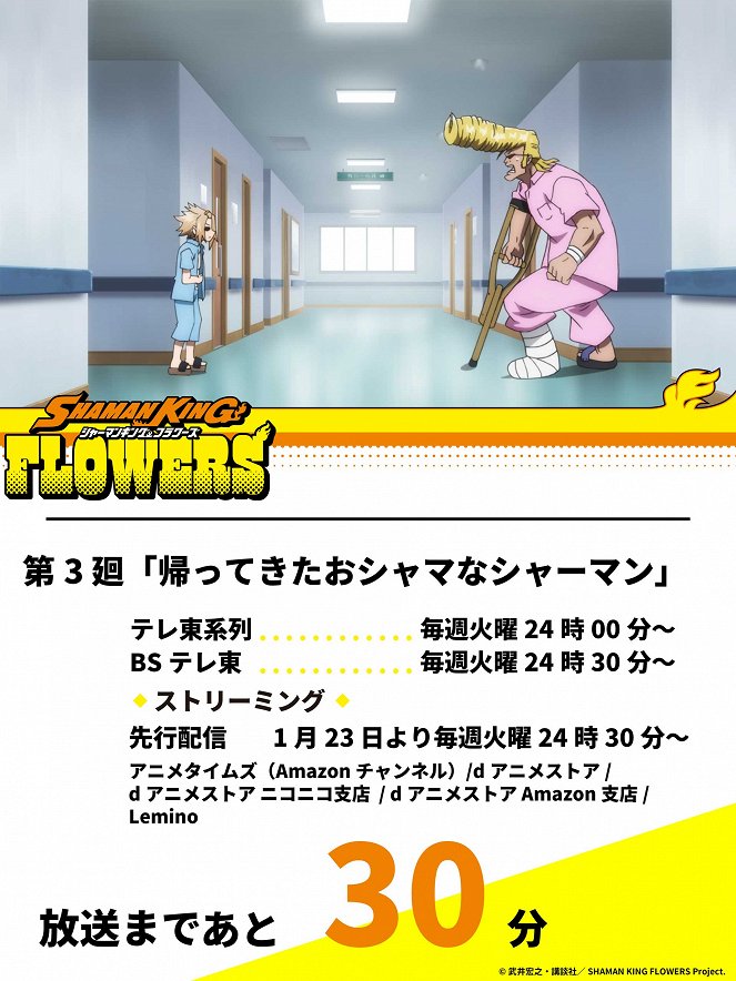 Shaman King: Flowers - Kaette Kita Oshama na Shaman - Plakáty