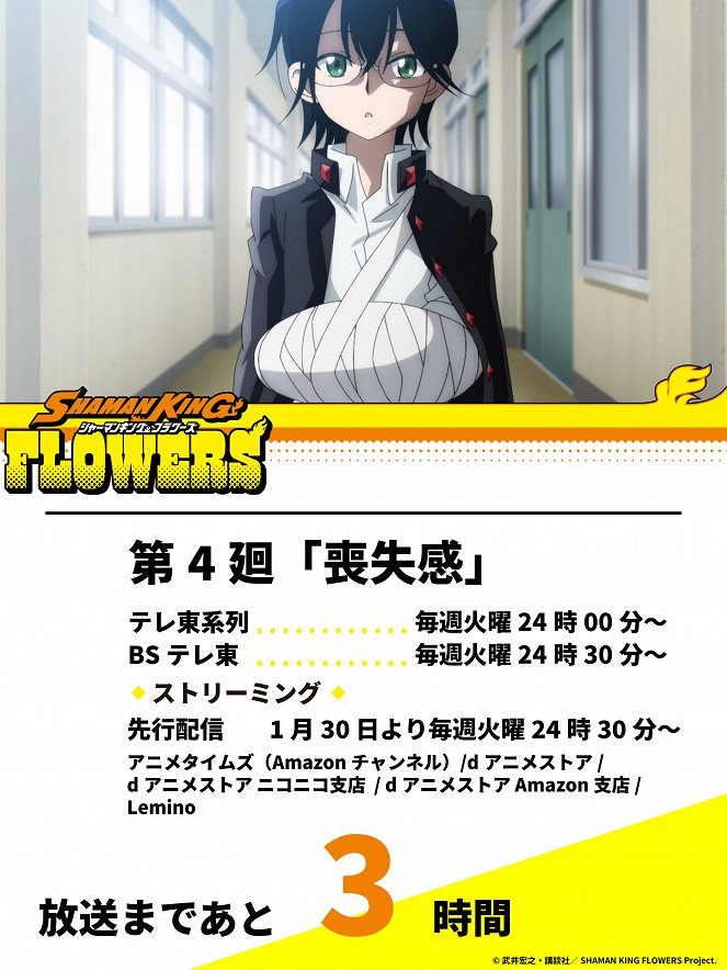 Shaman King: Flowers - Soushitsukan - Plakáty