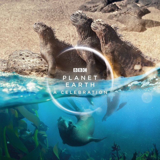 Planet Earth: A Celebration - Plakáty