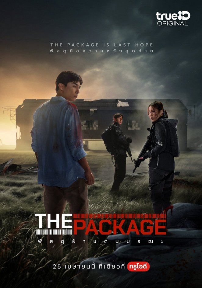 The Package - Plagáty
