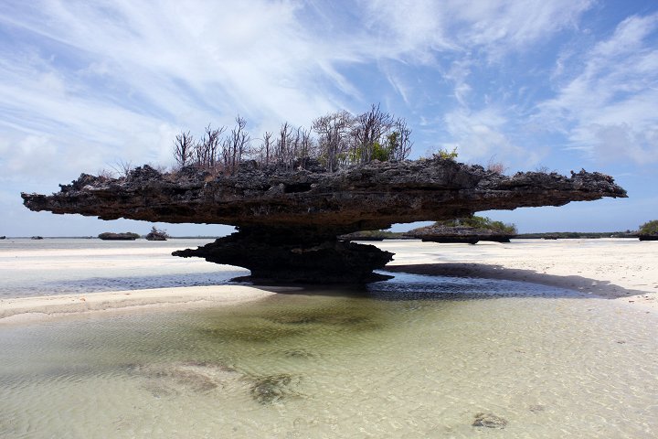 Aldabra:%20Byl%20jednou%20jeden%20ostrov