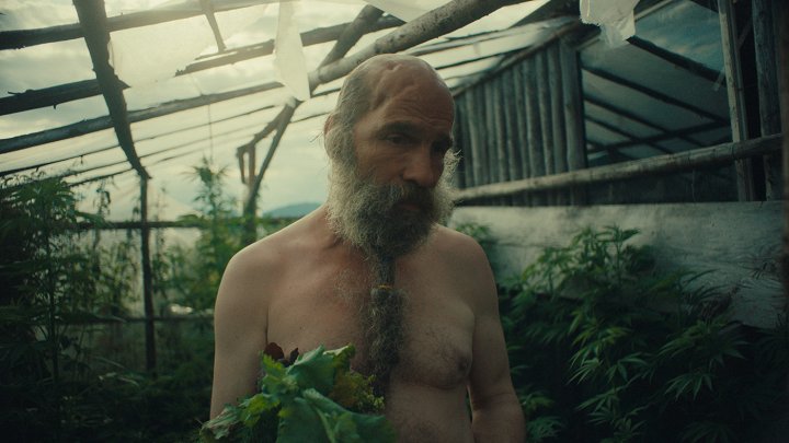 Raději zešílet v divočině Raději zešílet v divočině