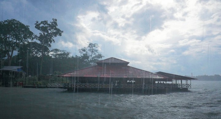 Džungle Placht Džungle Placht