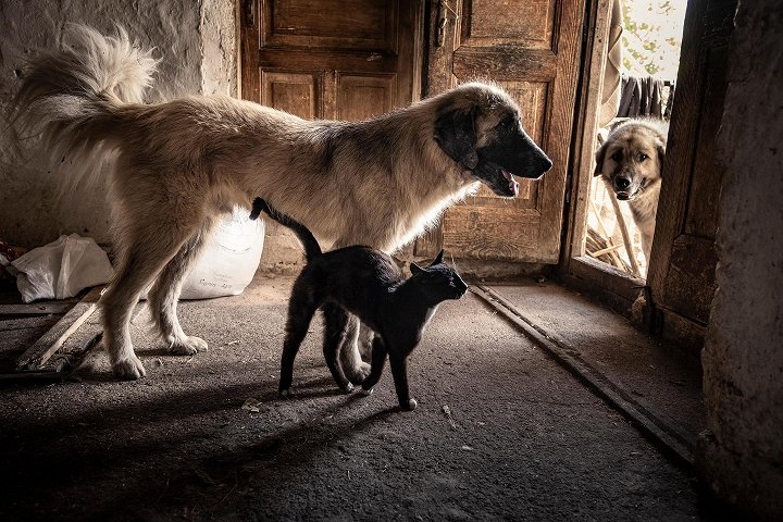 Krajina lidského bytí Krajina lidského bytí