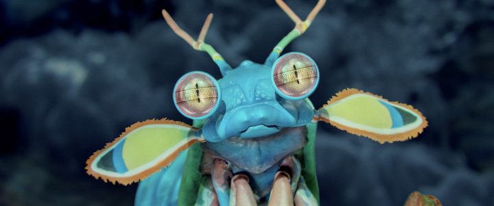 9 milionů barev 9 milionů barev