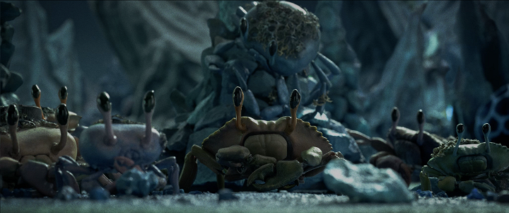 9 milionů barev 9 milionů barev