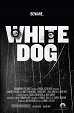 Bílý pes