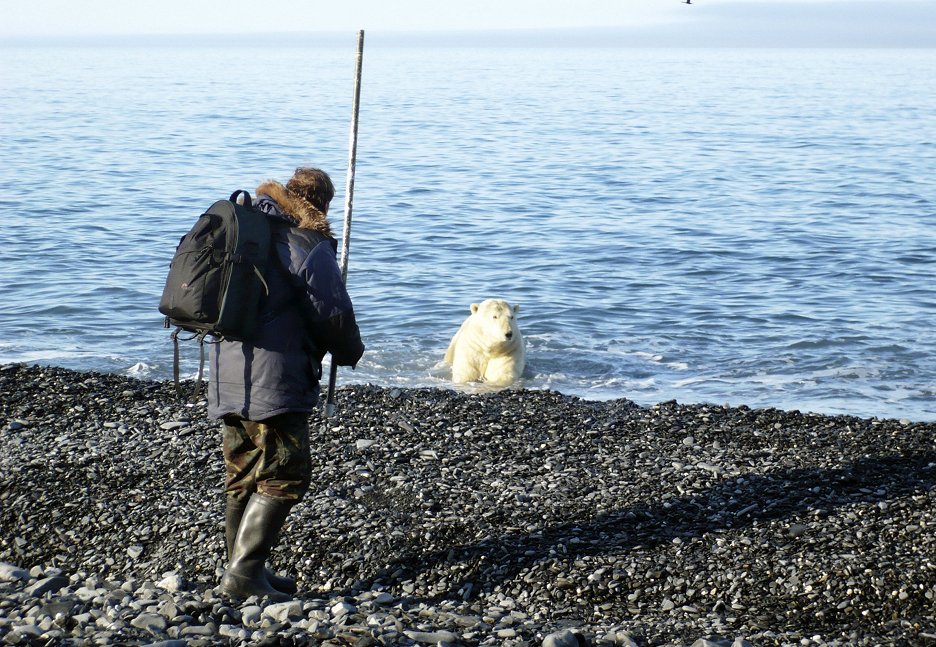 Unter Eisb Ren Abenteuer In Russlands Arktis Sfd Cz