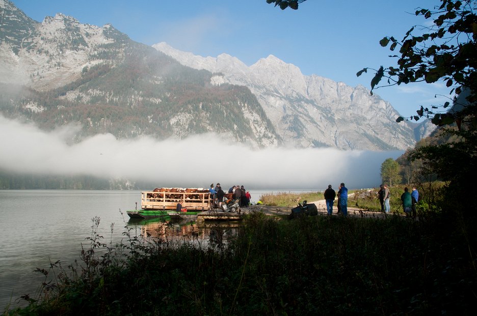 Wildes Bayern Das erste Licht am Königssee E03 2012 ČSFD cz