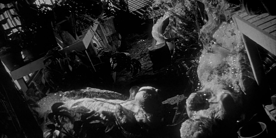 Invaze lupičů těl / Invasion of the Body Snatchers (1956)