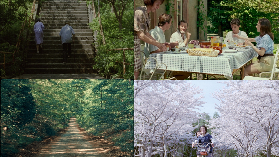 zopár filmov podfarbených počasím - KOMOREBI (木漏れ日) — slnko prekúkajúce cez listy stromov