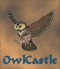 OwlCastle