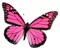 PinkButterfl