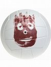 Wilson the Volleyball