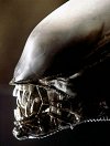 Az Alien sorozat erősítést toboroz