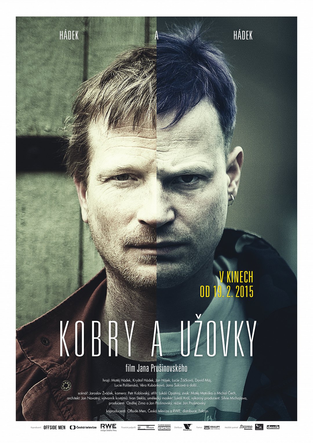 Kobry a Užovky poster