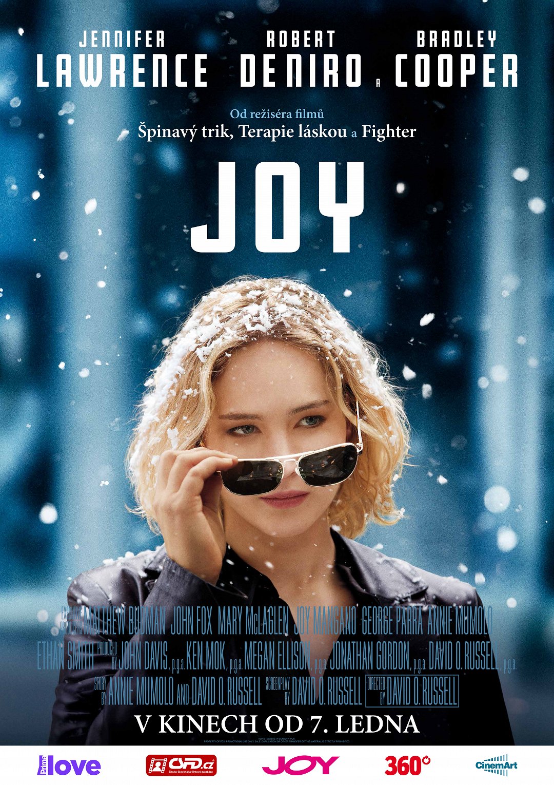 Podnikavá Joy poster