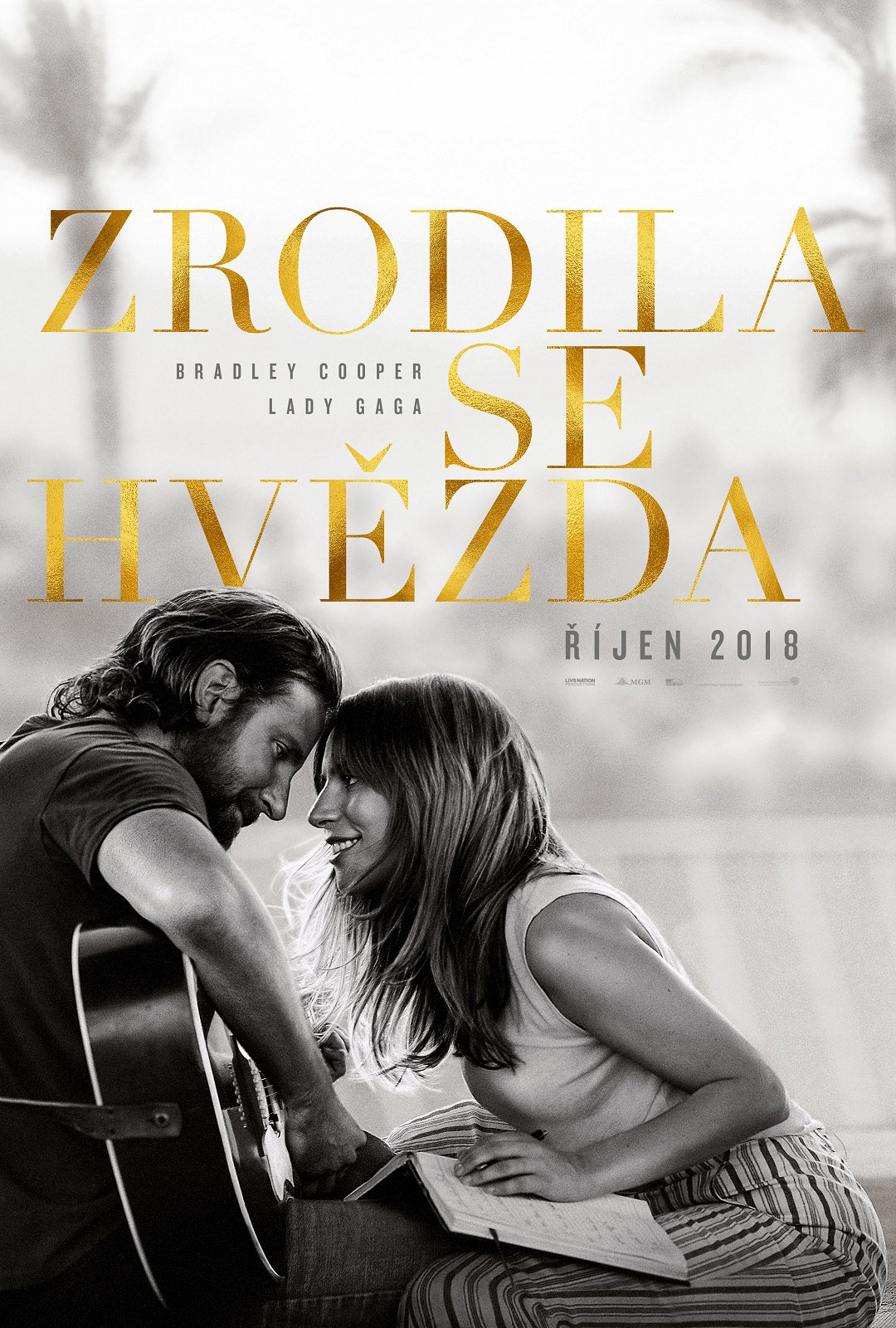 Zrodila se hvězda poster