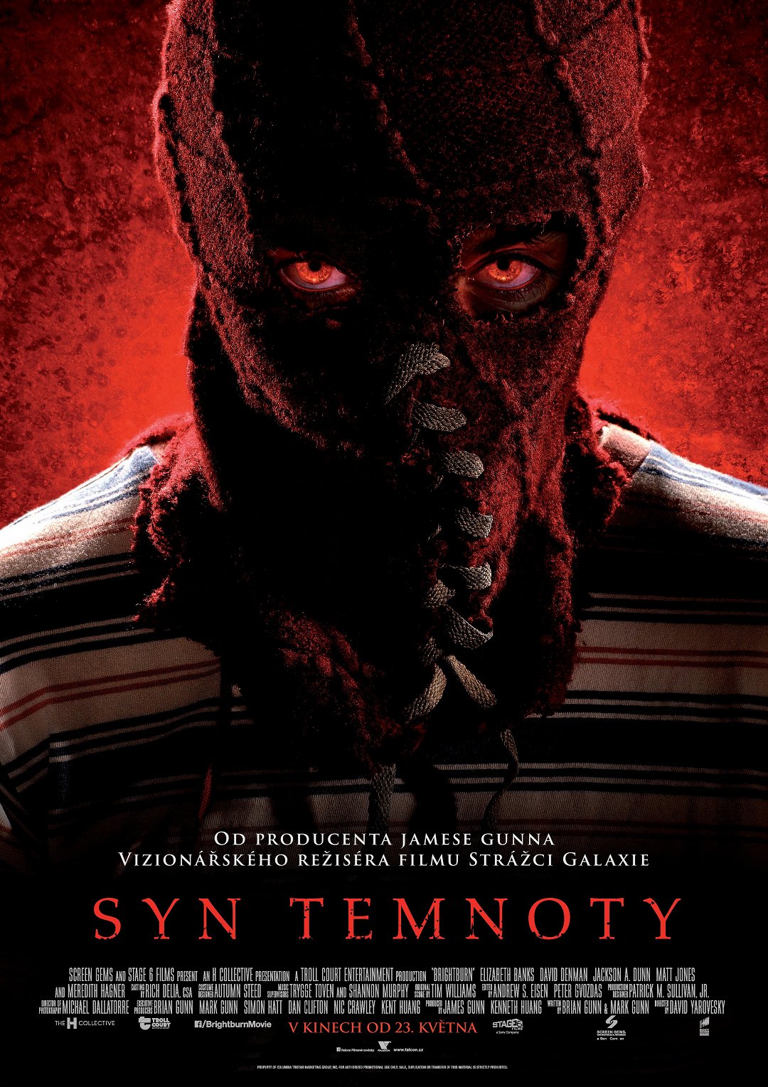 Syn temnoty poster