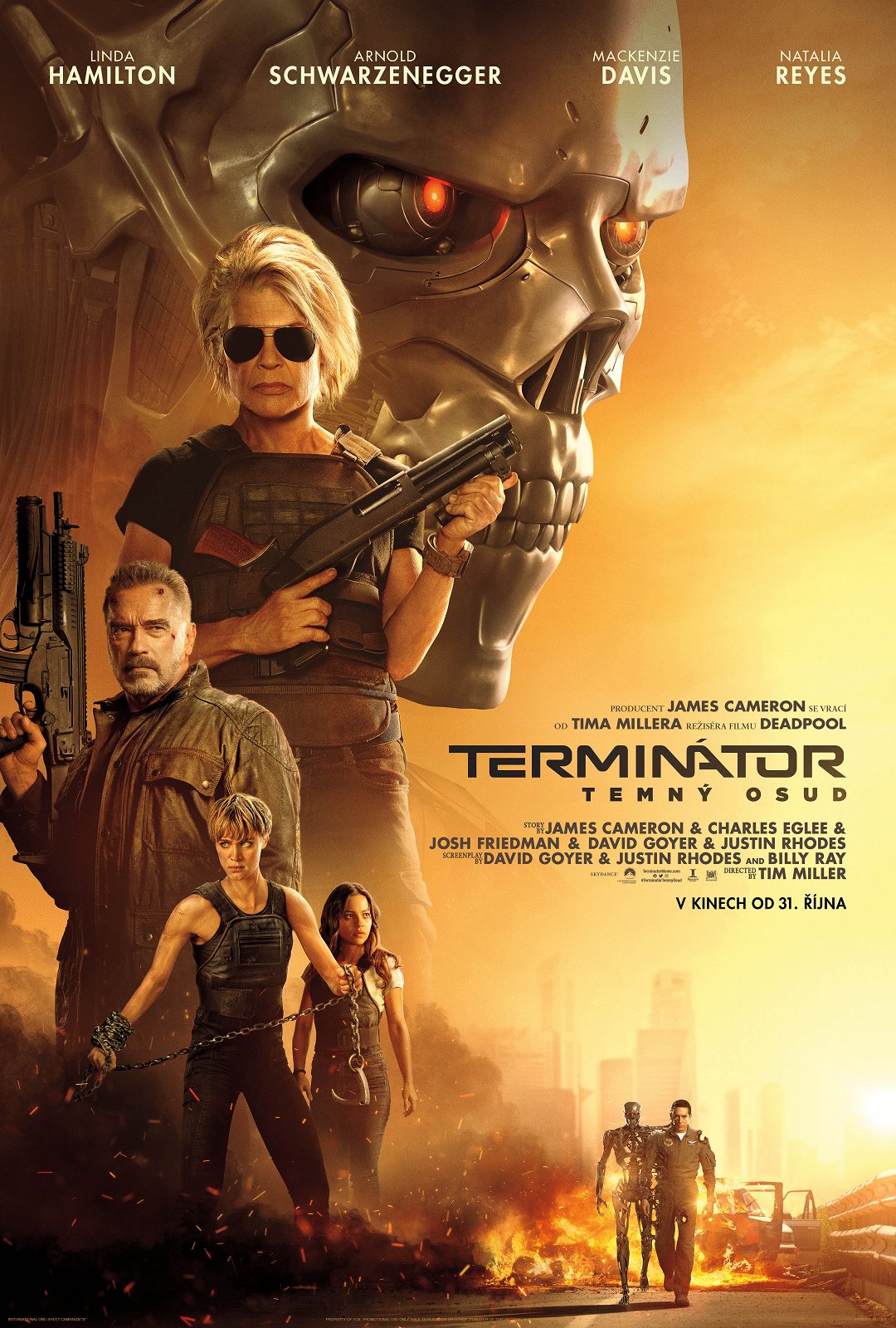 Terminátor: Temný osud poster