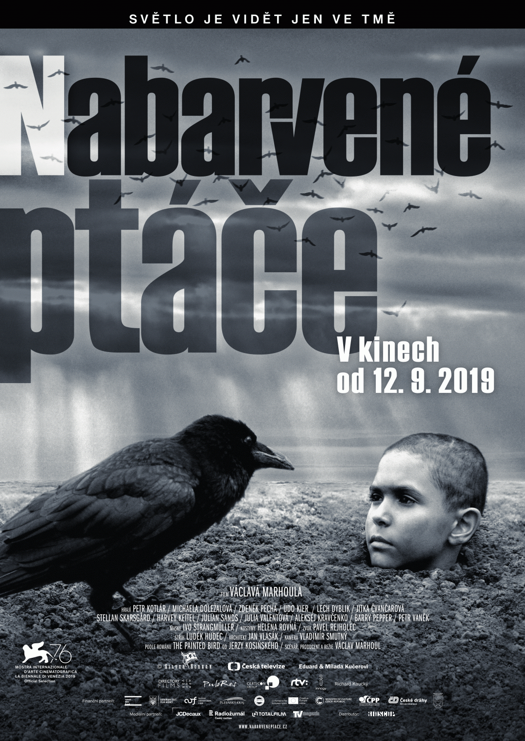 Nabarvené ptáče poster