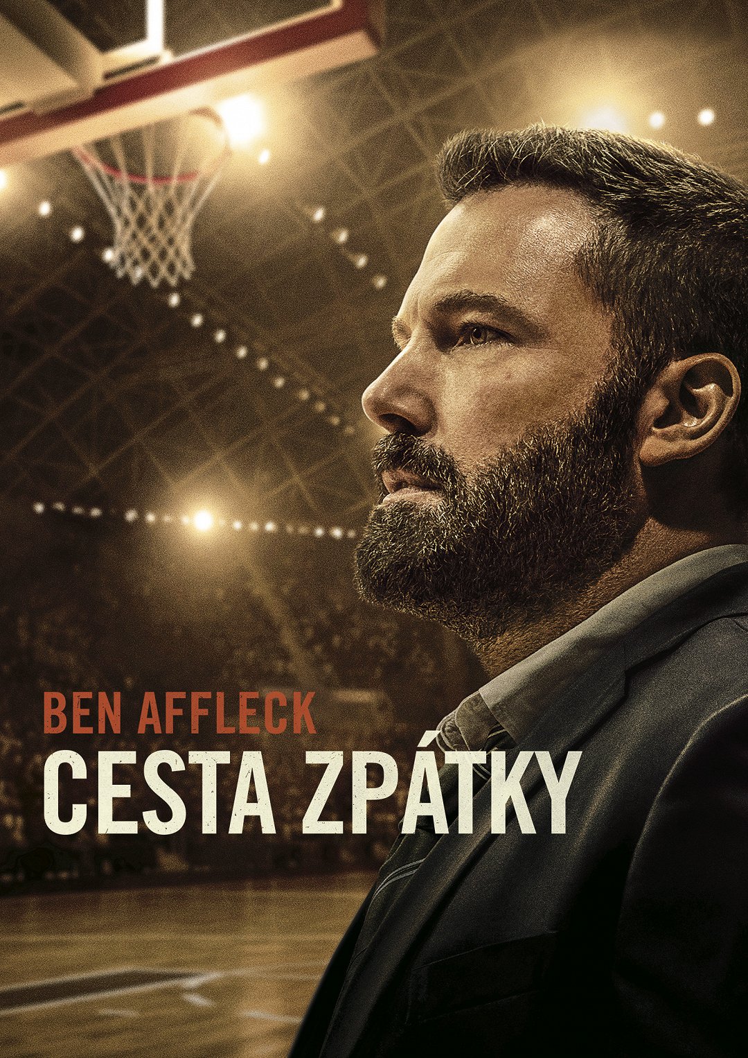 Cesta zpátky poster