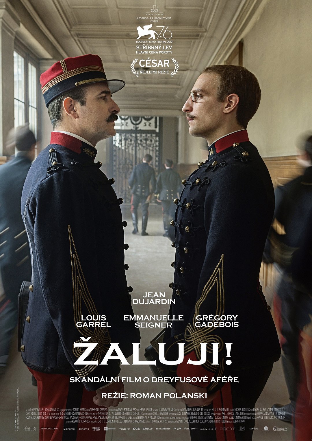 Žaluji! poster