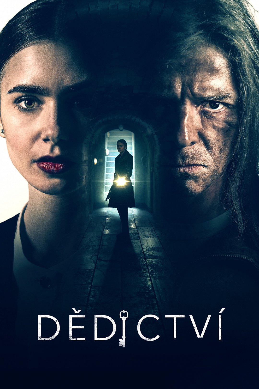 Dědictví poster