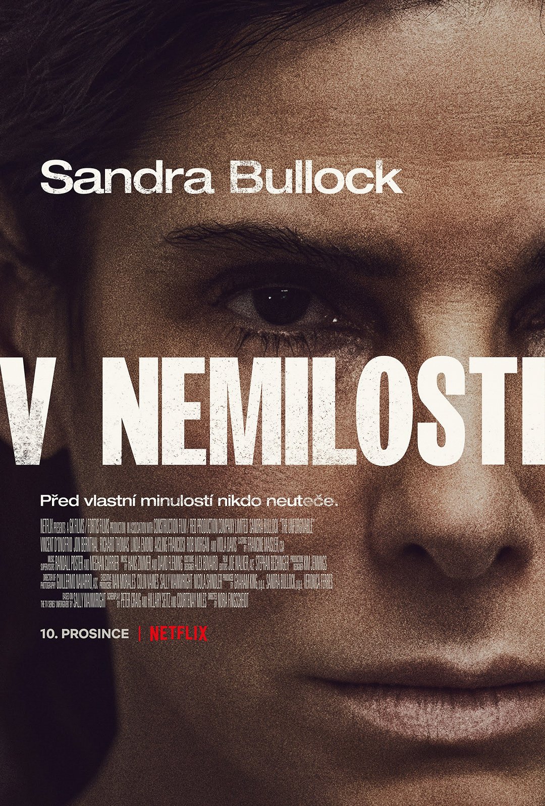 V nemilosti poster