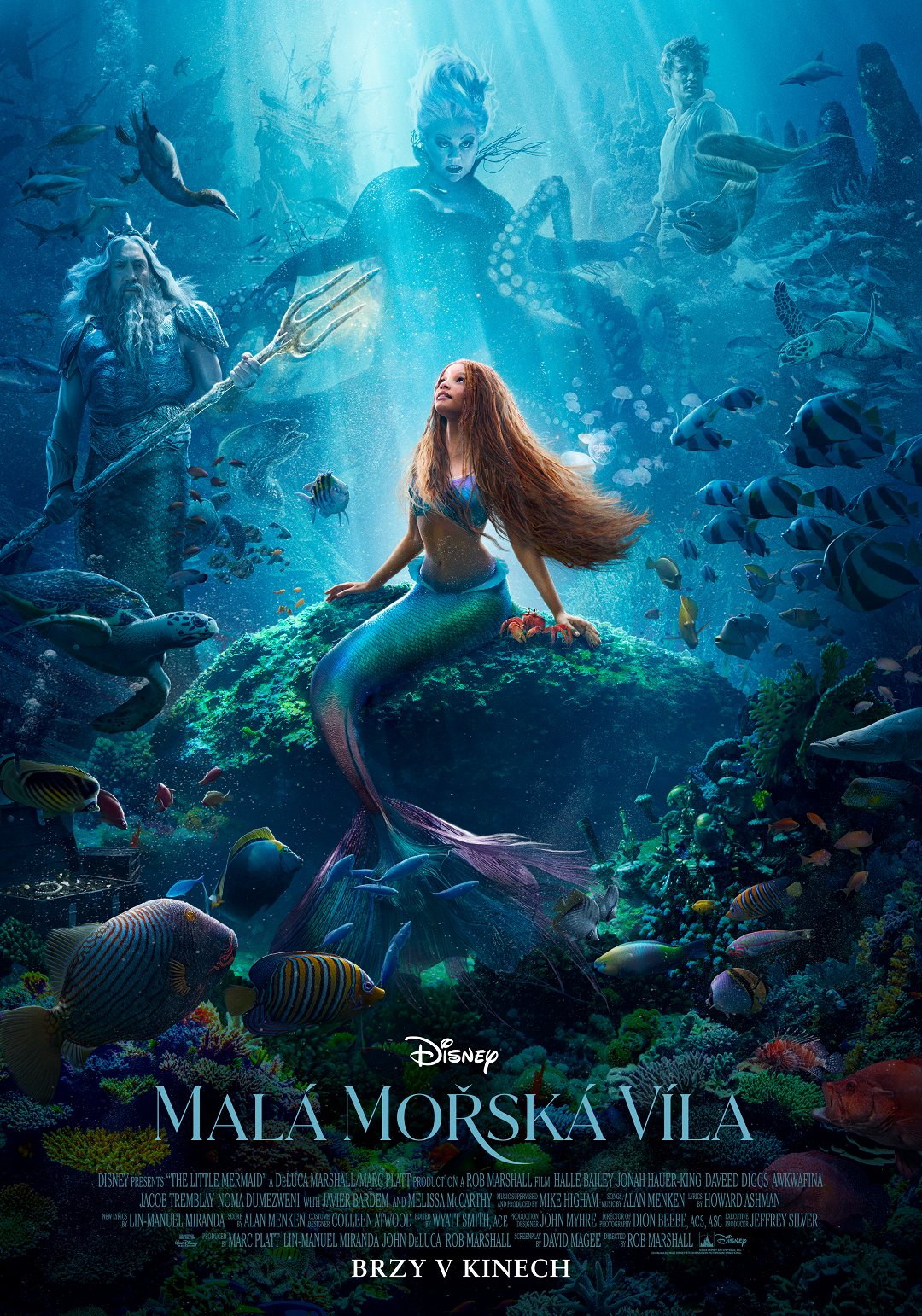 Malá mořská víla poster