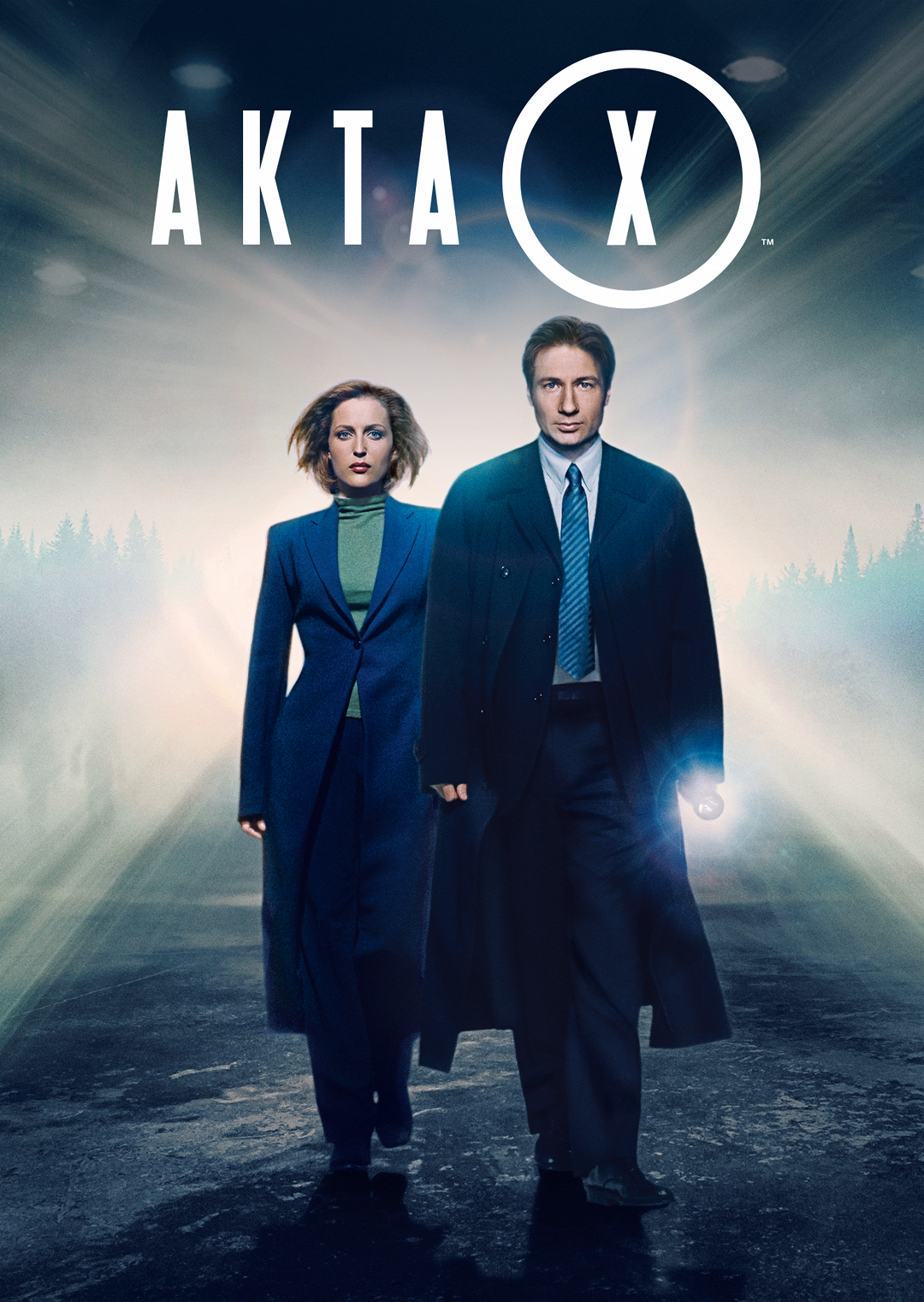 Akta X poster