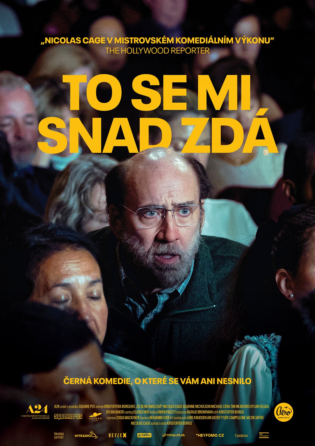 To se mi snad zdá poster