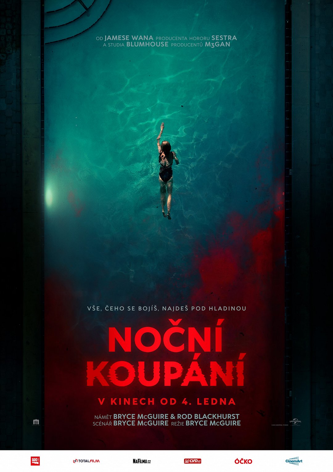 Noční koupání poster