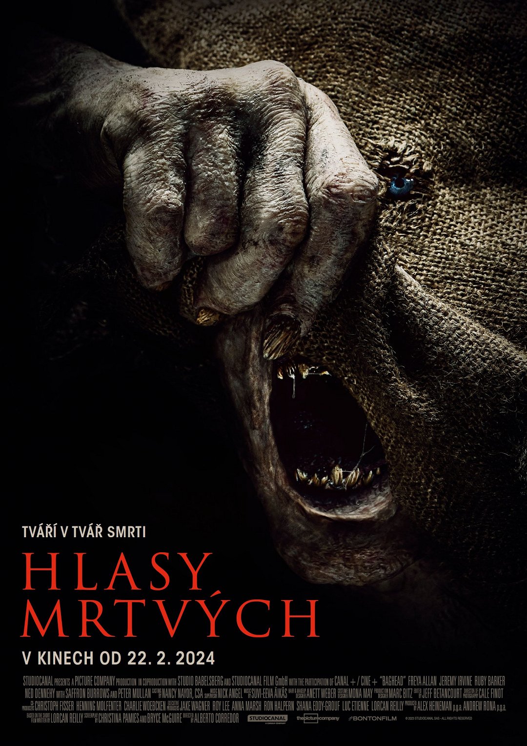 Hlasy mrtvých poster