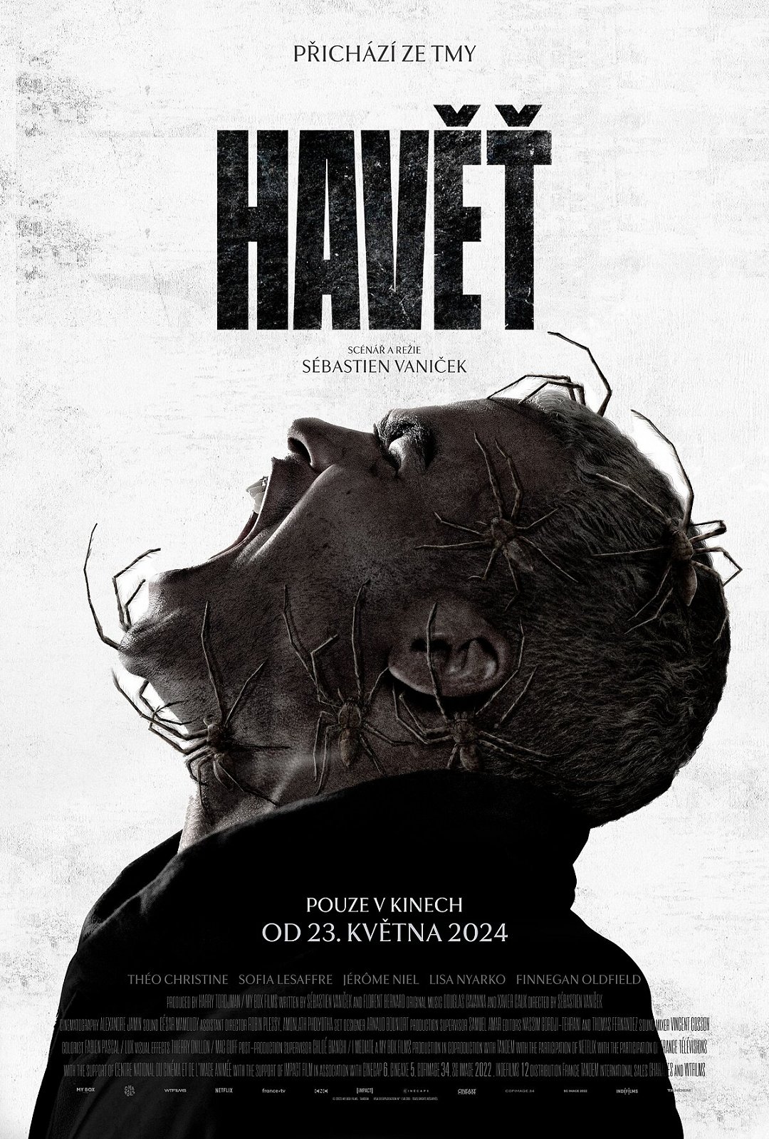 Havěť poster