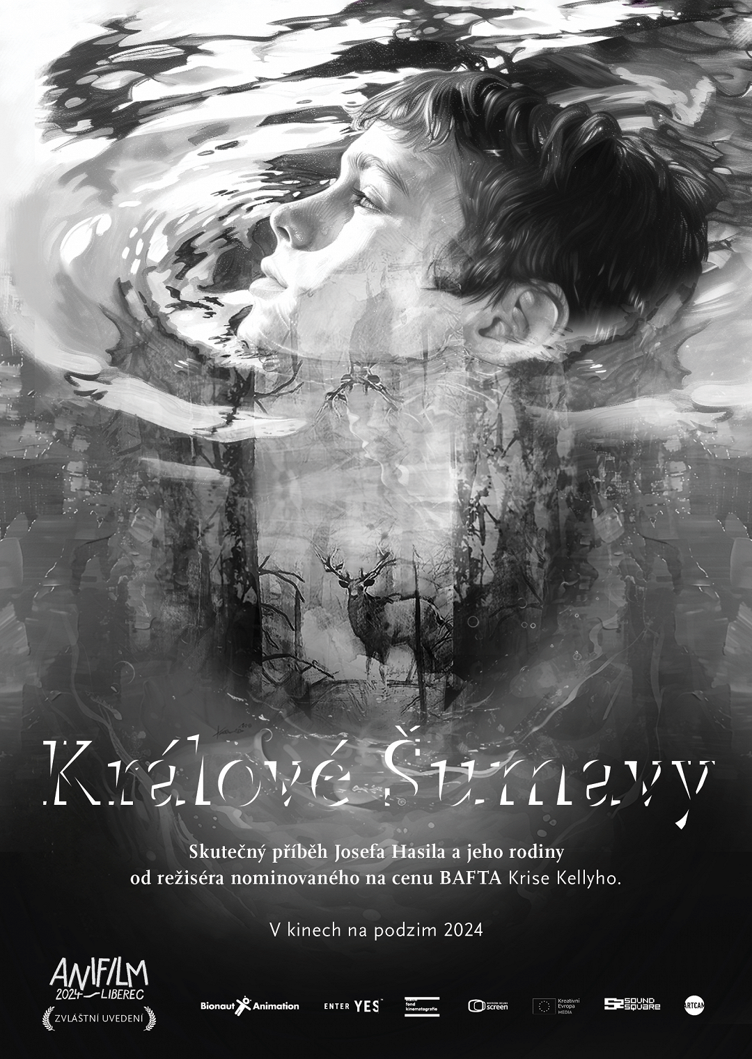 Králové Šumavy poster