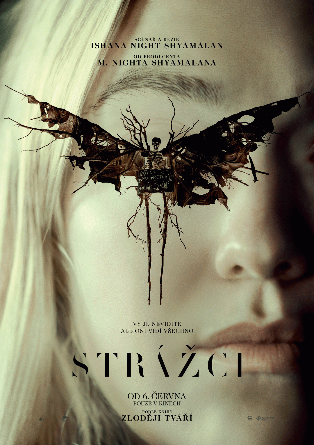 Strážci poster