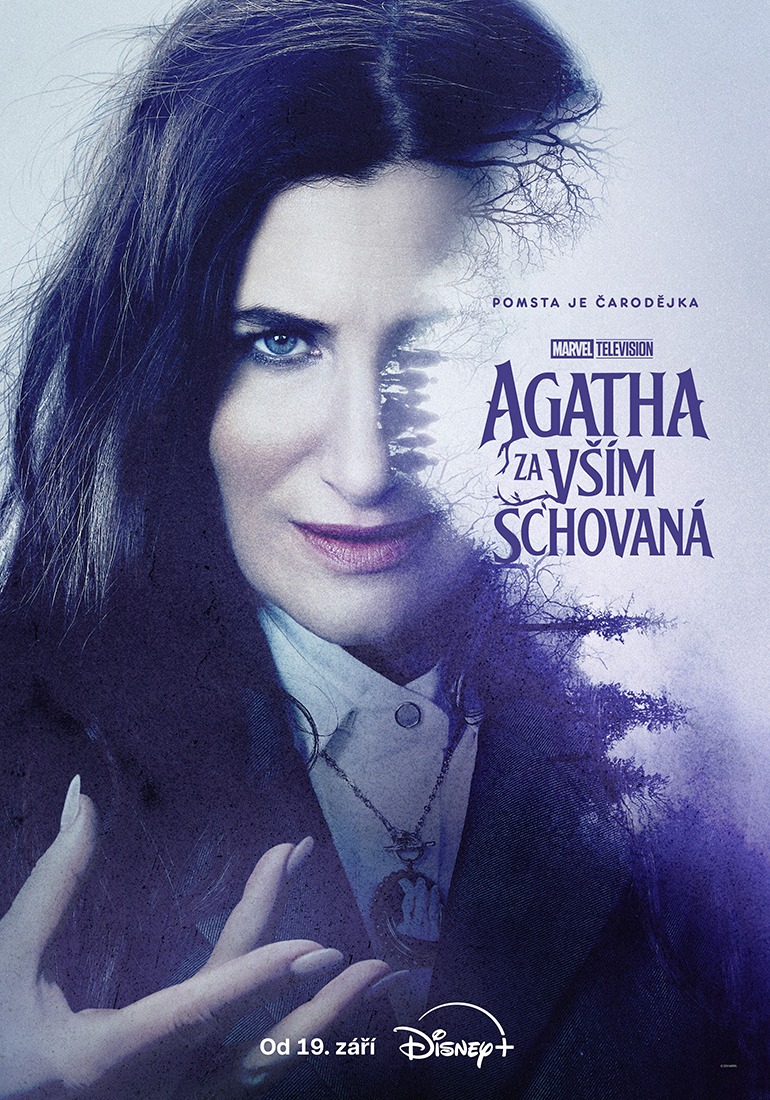 Agatha: Za vším schovaná poster