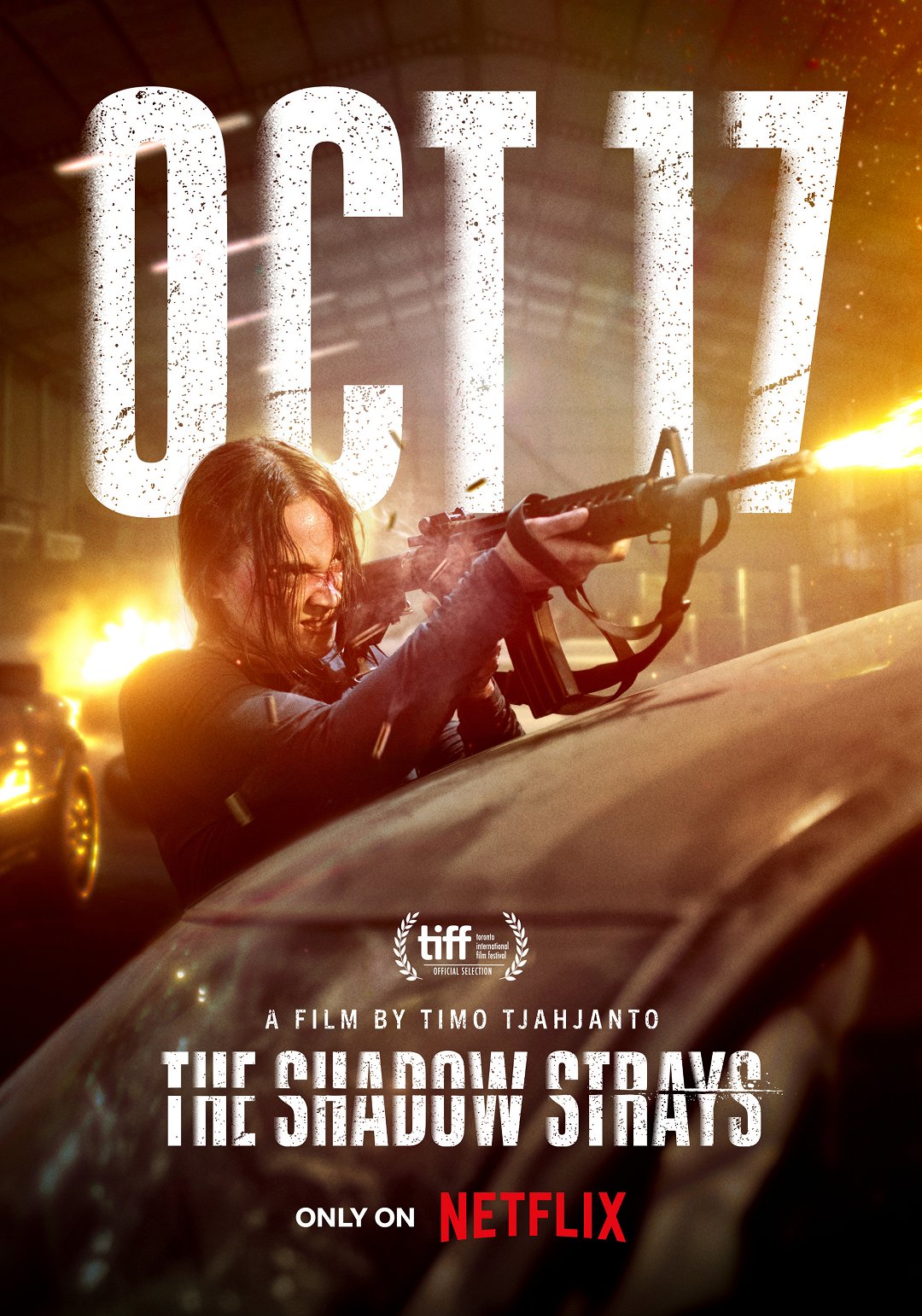 Ze stínů poster