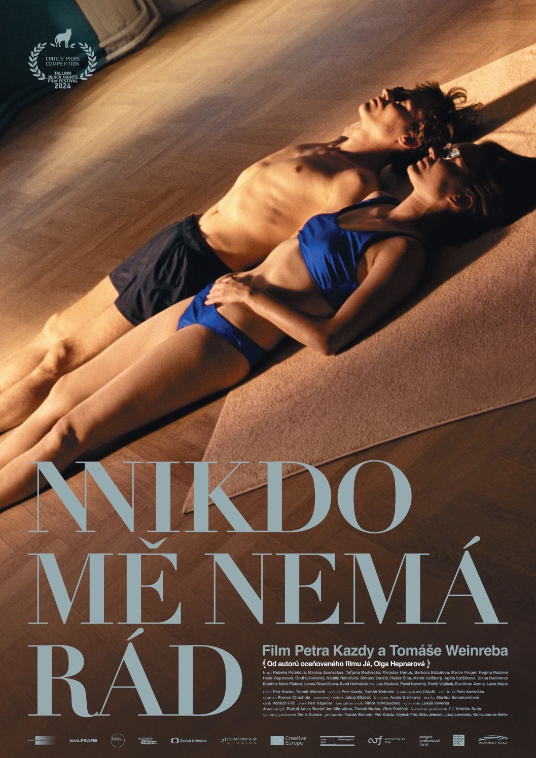 Nikdo mě nemá rád poster