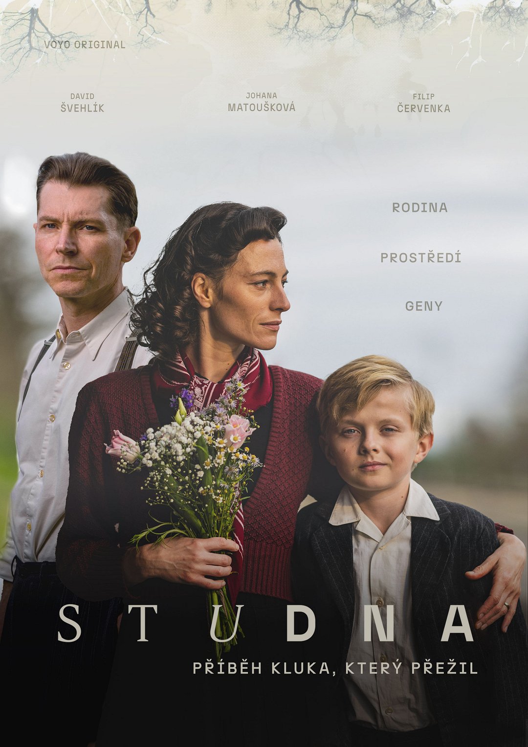 Studna poster