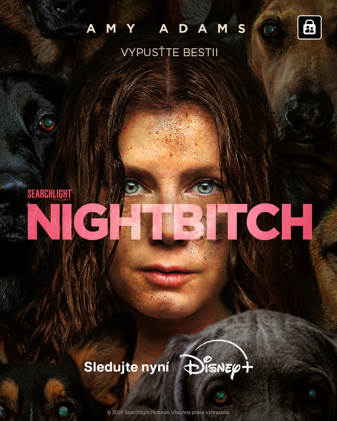 Nightbitch poster