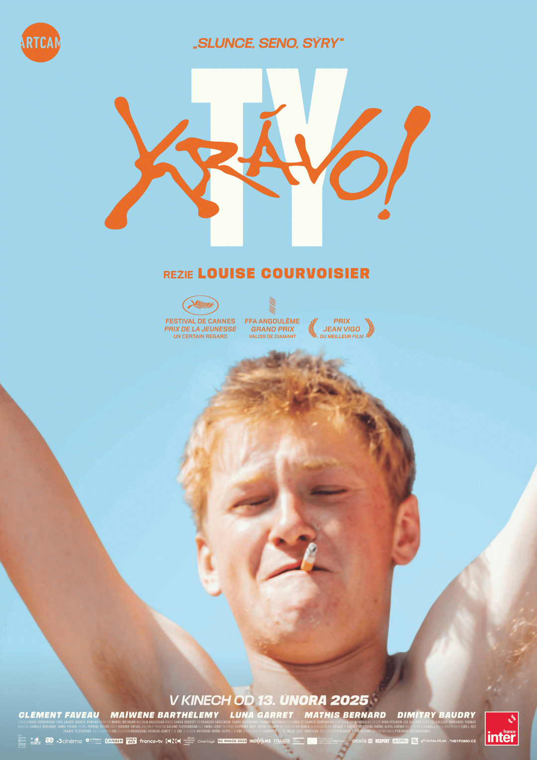 Ty krávo! poster